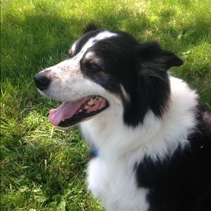 Meet your Posher, Zoey